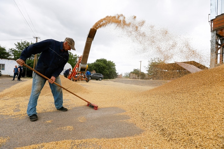 Explained: Why Russia Suspended The Black Sea Grain Deal And How It Will Affect Food Supplies