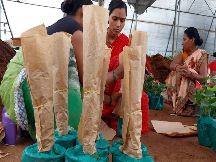 भाऊसाहेब नवले यांनी 1995 ते 2020 अशी तब्बल 25 वर्षे नोकरी केली.