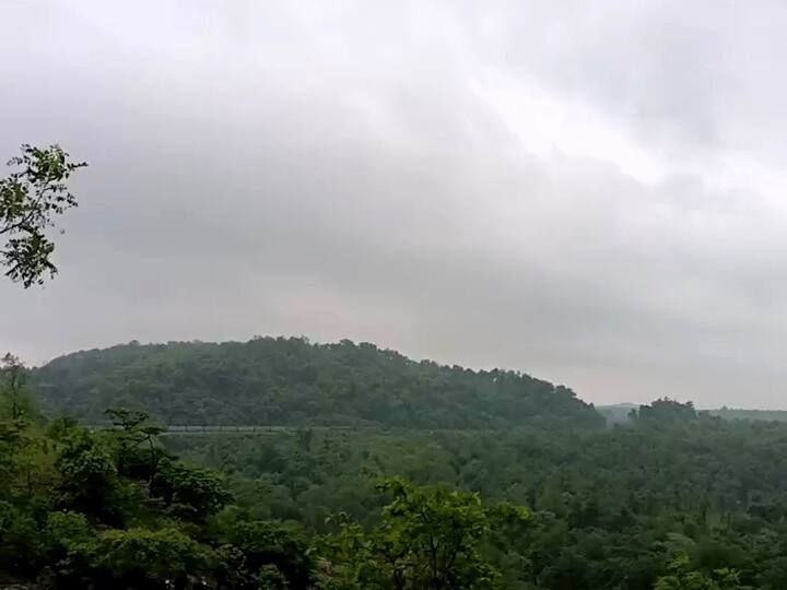 हे स्थळ मुंबई-कोलकाता या मुख्य रेल्वेमार्गावरील दरेकसा या छोट्या रेल्वे स्टेशनपासून अवघ्या दीड किलोमीटर अंतरावर जंगलाने वेढलेले आहे.