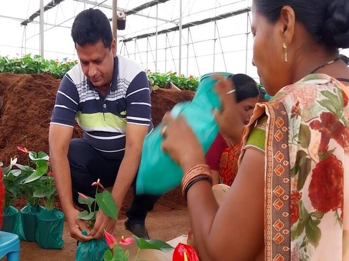 त्यातील दहा वर्षे इथोपिया देशात पॉलिहाऊस मधील गुलाब उत्पादनाचा अनुभव घेतला, तिथून पुन्हा मायदेशात परतले अन इथं नर्सरीत नोकरी केली.