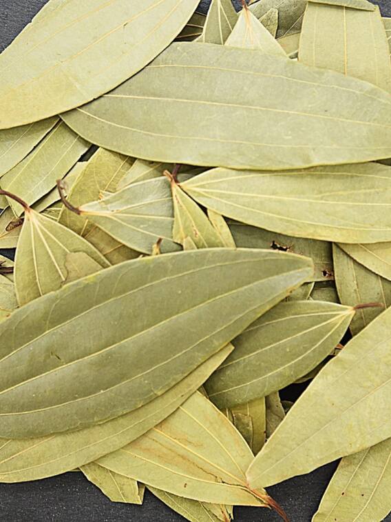 इस पत्ते की खेती कर किसान कमा सकते हैं लाखों