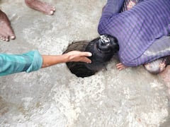 अब विदिशा में बोरिंग के गड्ढे में गिरी ढाई साल की बच्ची, सकुशल निकालने की कोशिशें शुरू