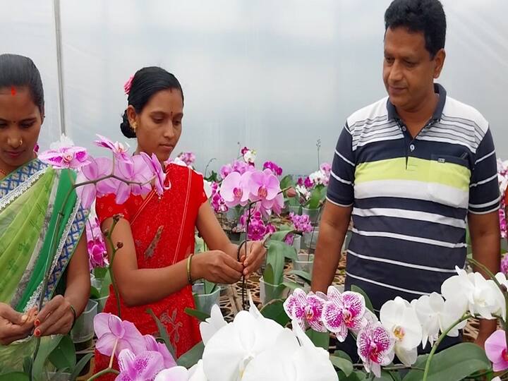 ही तशी रिस्कचं होती कारण, कोरोनाकाळात जिथे अनेकांचे पगारल रखडले आणि नोकरी गमावली तिथे भाऊसाहेबांनी अडीच लाख पगाराची नोकरी सोडून व्यवसाय करण्याचं ठरवलं.