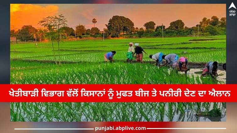 Ludhiana News: Agriculture Department announced to give free seeds and paddy to the farmers, call on these numbers Ludhiana News: ਖੇਤੀਬਾੜੀ ਵਿਭਾਗ ਵੱਲੋਂ ਕਿਸਾਨਾਂ ਨੂੰ ਮੁਫਤ ਬੀਜ ਤੇ ਪਨੀਰੀ ਦੇਣ ਦਾ ਐਲਾਨ, ਇਨ੍ਹਾਂ ਨੰਬਰਾਂ 'ਤੇ ਕਰੋ ਫੋਨ