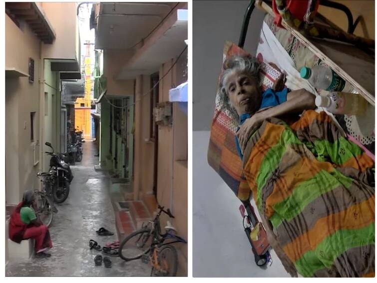 Nellai crime news Taken the jewels Leave me alone old woman begged the thief in the nellai TNN Crime: 'நகைகளை எடுத்துக்கொள்.. என்னை விட்டுவிடு'; நெல்லையில் திருடனிடம் கெஞ்சிய மூதாட்டி