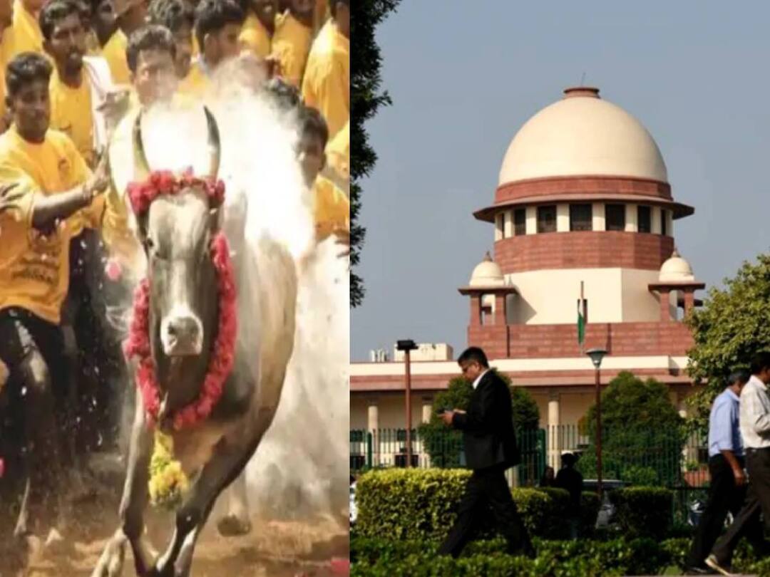 Jallikattu Petition: ஜல்லிக்கட்டு போட்டிகள் நடத்தக்கூடாது.. உச்சநீதிமன்றத்தில் மீண்டும் மனு தாக்கல் செய்த பீட்டா..