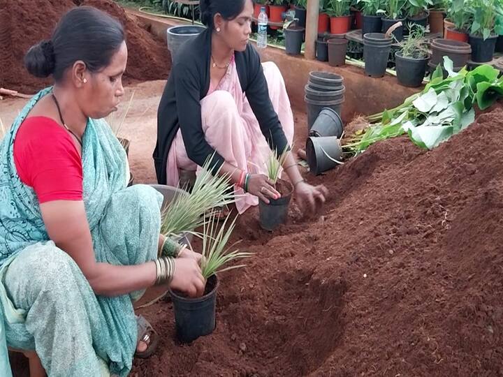 अडीच लाख रुपयांची नोकरी सोडलेले भाऊसाहेब आता वर्षाकाठी दोन कोटींची उलाढाल करत आहेत.