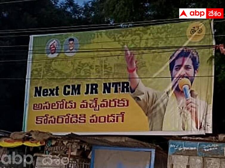 Who built Junior NTR flexi in Ongolu? Ongole Flexi Issue : ఒంగోలులో ఎన్టీఆర్ ఫ్లెక్సీలు పెట్టించింది వైసీపీ నేతలేనా ? వాలంటీర్ చెబుతోంది ఇదే !