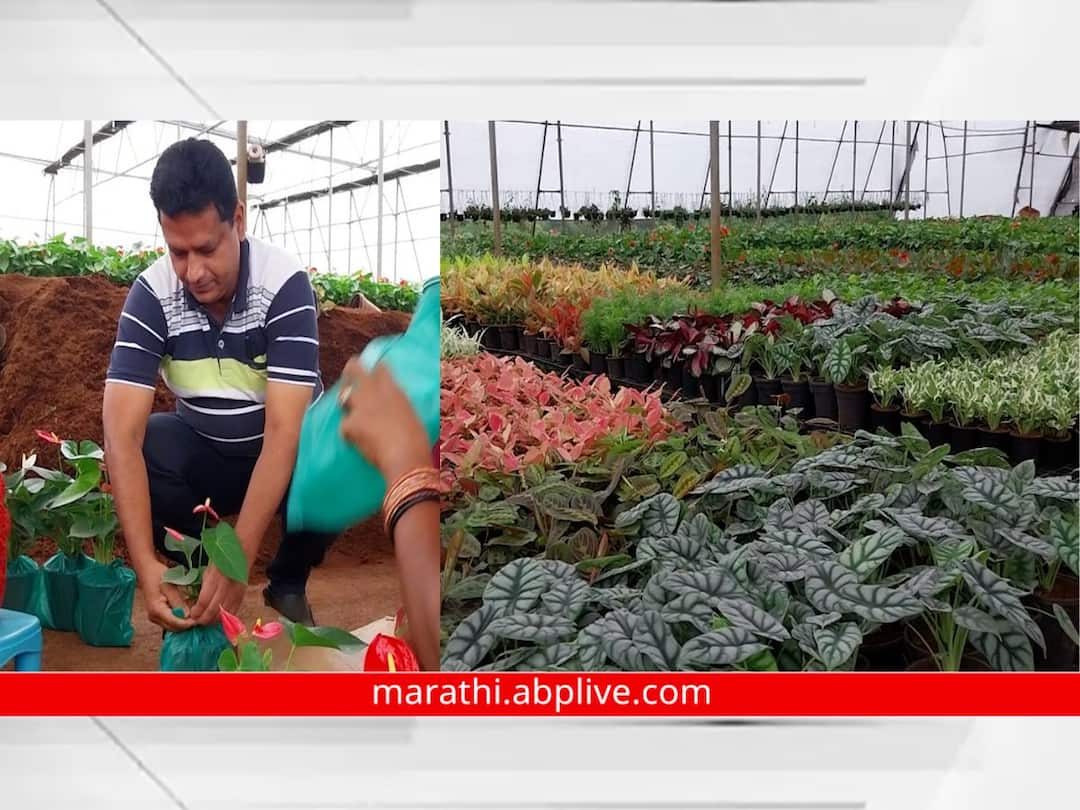 Success Story : ऐन कोरोनात, वयाच्या पन्नाशीत अडीच लाखांची नोकरी सोडून थाटला नवा व्यवसाय; आज कोट्यवधींची उलाढाल during Corona at the age of 50 he quit job worth 2.5 lakhs and started Nursery business today turnover is in crores Bhausaheb Navale Pimpari Success Story Success Story : ऐन कोरोनात, वयाच्या पन्नाशीत अडीच लाखांची नोकरी सोडून थाटला नवा व्यवसाय; आज कोट्यवधींची उलाढाल