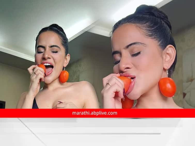 Urfi Javed New Look Urfi Javed Tomato Earrings photo viral social media Urfi Javed Protest Against Rising Tomato Prices Takes Fashionable Turn urfi javed said tomatoes are the new gold Urfi Javed : उर्फी जावेदचा नवा लूक पाहिलात का? टोमॅटोचे कानातले घालत म्हणाली,