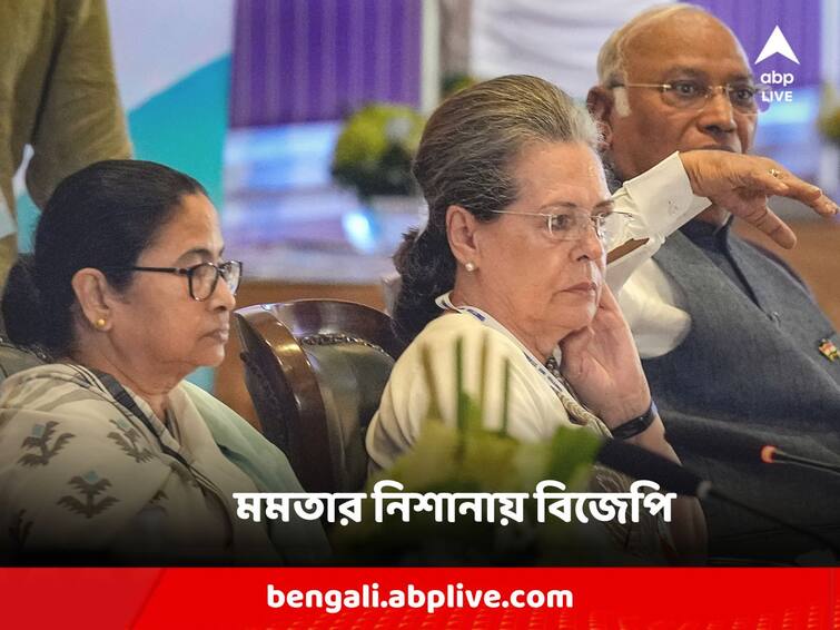 Oppostion Meeting Highlights Bengaluru Mallikarjun Kharge Rahul Gandhi Mamata Banerjee Karnataka CM Siddaramaiah lok Sabha Polls 2024 Mamata Banerjee : 'INDIA-কে চ্যালেঞ্জ করতে পারবে NDA?' বিরোধীদের বৈঠক শেষে সুর চড়ালেন মমতা