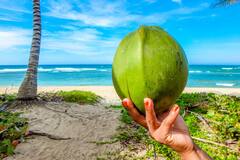 Coconut Water: দিন দিন বেড়ে যাচ্ছে ওজন? সকালের জলখাবারে যোগ করুন নারকেলের জল