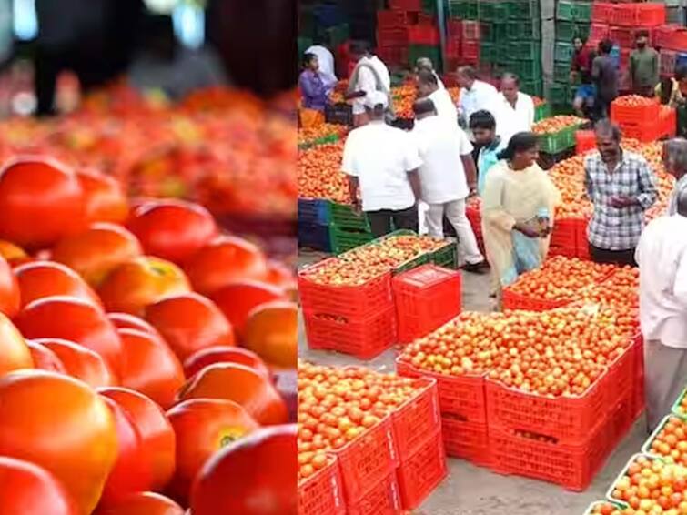 Andhra Government Sells Tomatoes At Subsidised Rate In Kadapa Rythu Bazar Tomato Price: ఏపీలో అక్కడ రూ.50కే కేజీ టమాటా, ఉదయం నుంచే 2 కిలోమీటర్ల క్యూలో ప్రజలు