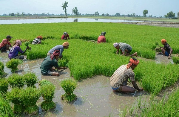রাজ্য সরকারে অনগ্রসর শ্রেণি কল্যাণ দফতর ও আদিবাসী উন্নয়ন দফতর যে সংশাপত্র দিয়ে থাকে।