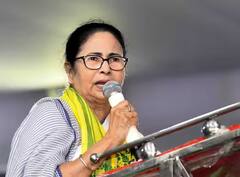 Mamata Banerjee Net Worth: 12 वर्षांपासून मुख्यमंत्री, 2 लाख वेतन; तरीही देशातील सर्वात गरीब मुख्यमंत्री आहेत ममता बॅनर्जी