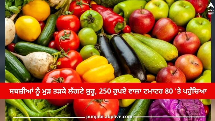 Amritsar News: tomato worth Rs 250 reaches 80rs, rates of other vegetables also reduced Amritsar News: ਸਬਜ਼ੀਆਂ ਨੂੰ ਮੁੜ ਤੜਕੇ ਲੱਗਣੇ ਸ਼ੁਰੂ, 250 ਰੁਪਏ ਵਾਲਾ ਟਮਾਟਰ 80 'ਤੇ ਪਹੁੰਚਿਆ, ਹੋਰ ਸਬਜ਼ੀਆਂ ਦੇ ਰੇਟ ਵੀ ਘਟੇ