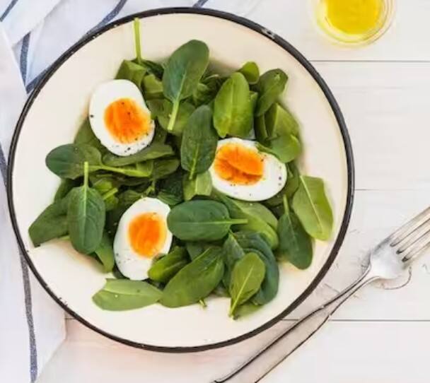 ਅੰਡੇ ਵਿੱਚ ਕਈ ਤਰ੍ਹਾਂ ਦੇ ਪੋਸ਼ਕ ਤੱਤ ਅਤੇ ਤੱਤ ਹੁੰਦੇ ਹਨ। ਅੱਜ ਅਸੀਂ ਤੁਹਾਨੂੰ ਅੰਡੇ ਦਾ ਸਲਾਦ ਬਣਾਉਣ ਦਾ ਤਰੀਕਾ ਦੱਸ ਰਹੇ ਹਾਂ।