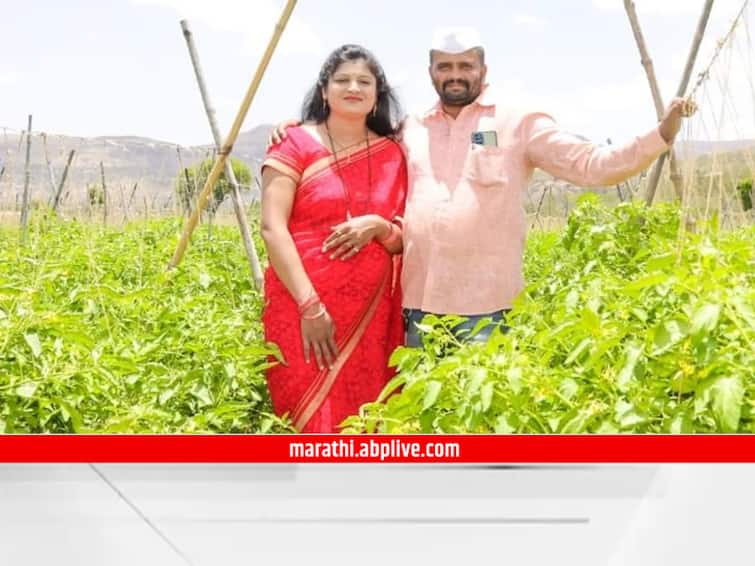 farmers from junnar pune district became millionaires selling tomato tukaram gaykar junnar Pune Maharashtra Tomato Farmer: आधी रडवलं अन् आता करोडपती केलं; टोमॅटोमुळे जुन्नरचा शेतकरी झाला करोडपती