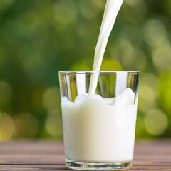 Forbidden combination: ਦੁੱਧ 'ਚ ਕਦੇ ਵੀ ਨਹੀਂ ਮਿਲਾਉਣੀਆਂ ਚਾਹੀਦੀਆਂ ਇਹ 4 ਚੀਜ਼ਾਂ