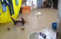 Junagadh: જૂનાગઢના માળિયા હાટીના તાલુકામાં સાંબેલાધાર વરસાદ, ચોરવાડમાં લોકોના ઘરોમાં ઘૂસ્યા પાણી, બજારમાં પાણી ભરાયા