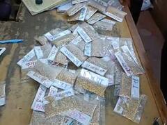 भंडाऱ्यात 19 कंपन्यांच्या बियाणांवर विक्री बंदी, आठ भरारी पथकाची कृषी केंद्रांवर करडी नजर 