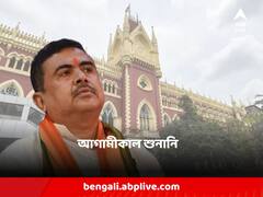 শুভেন্দুর বিরুদ্ধে ভোটে হিংসার প্ররোচনার অভিযোগ, FIR দায়েরের অনুমতি চেয়ে জনস্বার্থ মামলা