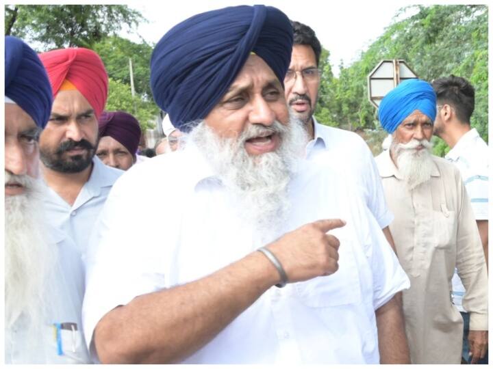 Akali Dal will contest alone on all 13 seats, Sukhbir Badal made this special strategy Lok Sabha Elections 2024: बीजेपी को 'ना' बोलकर बड़ी प्लानिंग कर रहा अकाली दल, सुखबीर सिंह बादल ने बनाई खास रणनीति