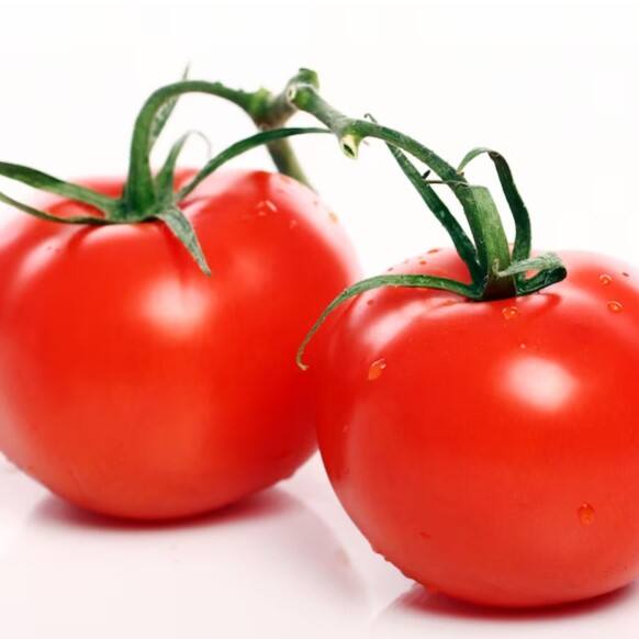 ਹਾਸਲ ਜਾਣਕਾਰੀ ਮੁਤਾਬਕ ਅਸਮਾਨ ਨੂੰ ਛੂਹ ਰਹੇ ਸਬਜ਼ੀਆਂ ਦੇ ਭਾਅ ਹੇਠਾਂ ਆਉਣੇ ਸ਼ੁਰੂ ਹੋ ਗਏ ਹਨ। ਖਾਸ ਕਰਕੇ ਟਮਾਟਰ, ਜੋ ਥੋਕ ਵਿੱਚ 200 ਰੁਪਏ ਪ੍ਰਤੀ ਕਿਲੋਗ੍ਰਾਮ ਨੂੰ ਪਾਰ ਕਰ ਗਿਆ ਸੀ, ਹੁਣ ਸਥਿਤੀ ਵਿੱਚ ਸੁਧਾਰ ਹੋਣ ਕਾਰਨ 50 ਫੀਸਦੀ ਤੱਕ ਹੇਠਾਂ ਆ ਗਿਆ ਹੈ। ਭਾਅ ਘਟਣ ਮਗਰੋਂ ਟਮਾਟਰ ਮੁੜ ਤੋਂ ਰੇਹੜੀਆਂ 'ਤੇ ਦਿਖਾਈ ਦੇਣ ਲੱਗ ਪਏ ਹਨ।