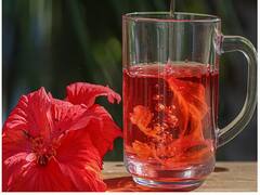 ”தங்கபஸ்பம்” என அழைக்கப்படும் செம்பருத்தி! ஒருமுறை இந்த ஜூஸ் குடித்தால் போதும்!