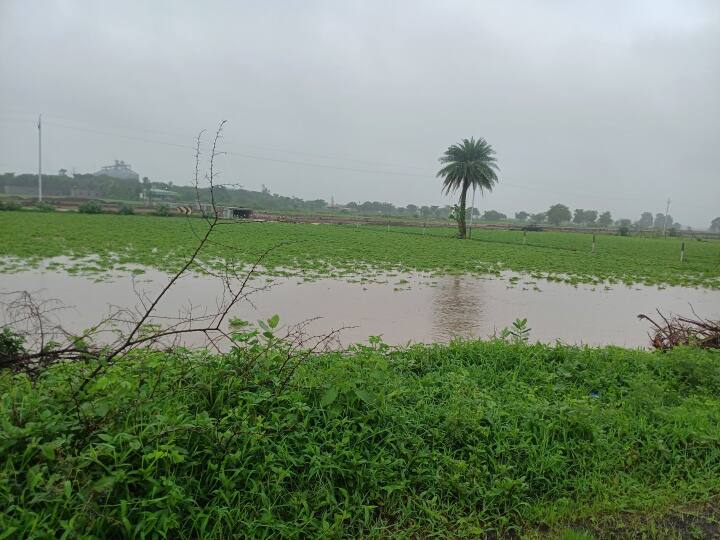 Weather Update Today 19 July MP IMD Forecast Rainfall Alert Ujjain Ka Mausam ANN MP Rain Alert: उज्जैन समेत कई जिलों में मूसलाधार बारिश, फसलों को भारी नुकसान, कब तक जारी रहेगी बरसात का सिलसिला?