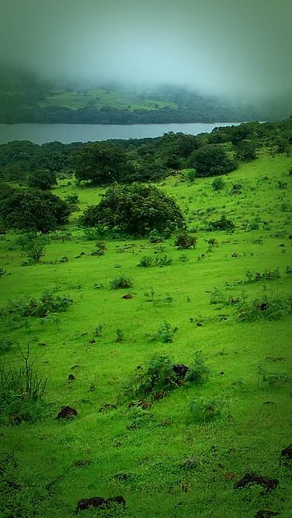 श्रावण मासी...