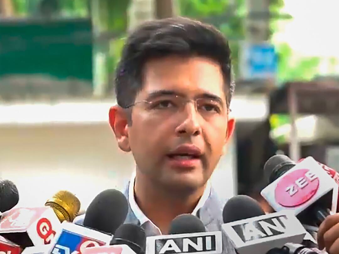 BJP Called First NDA Meet In 9 Years Because They're Scared Of Oppn's INDIA Alliance: AAP's Raghav Chadha BJP Called First NDA Meet In 9 Years Because They are Scared Of INDIA Alliance: AAP MP Raghav Chadha India Vs NDA Lok Sabha elections BJP Called First NDA Meet In 9 Years Because They're Scared Of Oppn's INDIA Alliance: AAP's Raghav Chadha