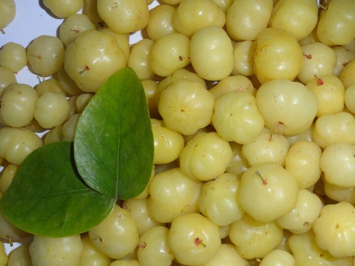 ব্রঙ্কাইটিস ও অ্যাজমার সমস্যা রয়েছে যাঁদের তাঁরা আমলকীর জুস খেতে পারেন।