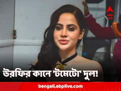 কানে ঝোলালেন 'টমেটো' দুল, 'নতুন সোনা'র গয়না পরে ভাইরাল উরফি জাভেদ