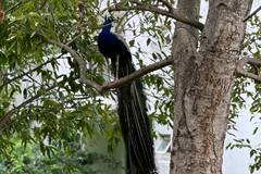 Samantha Ruth Prabhu Takes Break From Spotlight; Shares Glimpses Of Meditation Sessions