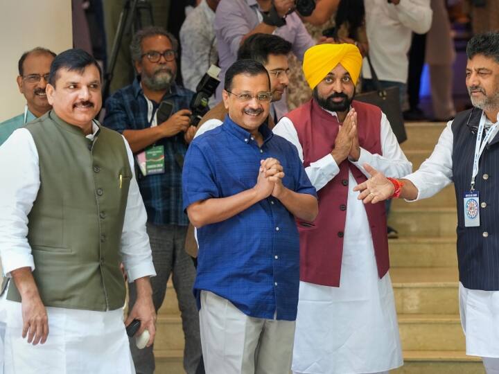 NDA vs INDIA sanjay singh slams bjp for criticising opposition party alliance name ann Opposition Party Meet: 'मोदीजी तो अंग्रेज नहीं हैं, फिर...', INDIA नाम के विरोध पर बोले संजय सिंह, एनडीए को दिया नया नाम