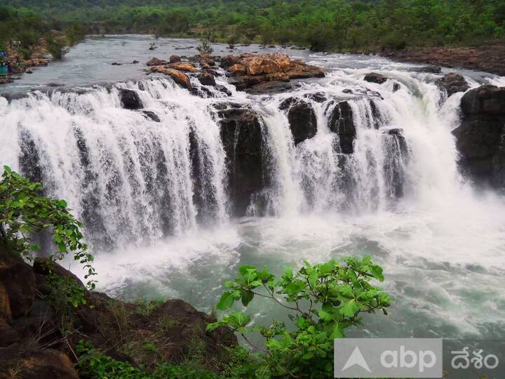 Bogatha Water Falls Site Visit Cancelled Due To Heavy Rains Bogatha Water Falls: భారీ వర్షాల కారణంగా ఉప్పొంగుతున్న బొగతా జలపాతం - సందర్శన నిలిపివేత