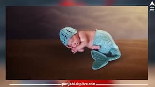 ਇਹ AI ਬੇਬੀ ਕੀ ਨੇ, ਜੋ ਅਮਰੀਕਾ ਵਿੱਚ ਪੈਦਾ ਹੋਣਗੇ? ਜਾਣੋ ਇਨ੍ਹਾਂ 'ਚ ਕੀ ਖਾਸ ਹੋਵੇਗਾ