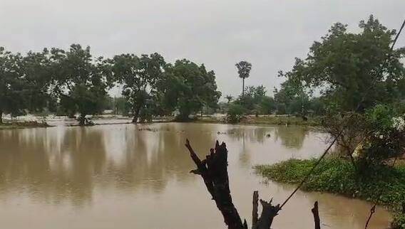 Rain : राज्यात पावसाची जोरदार बँटींग, अनेक ठिकाणी नद्यांना पूर