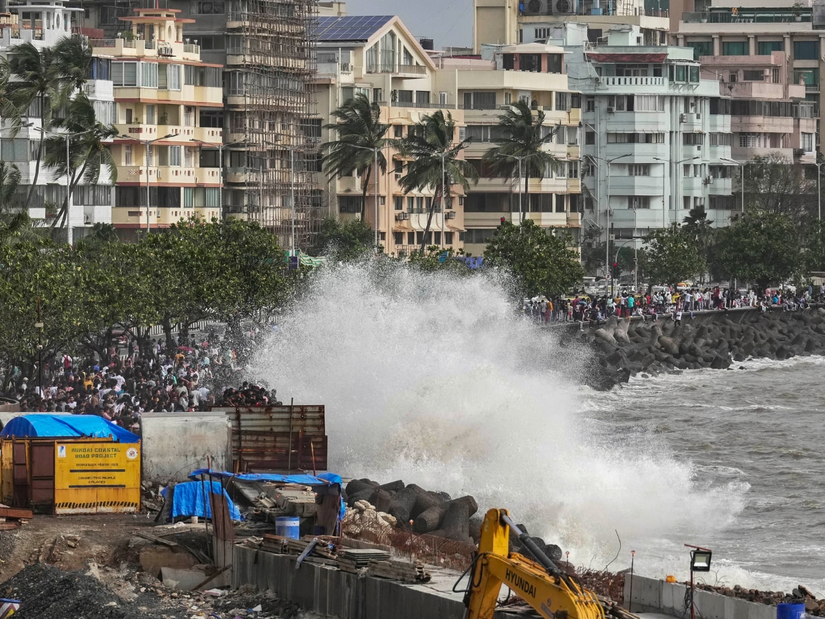 Every time the tide recedes, it's a new world': Mumbai's marine life  revealed, Mumbai