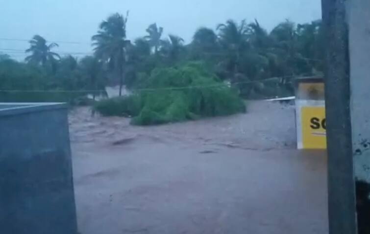 Hiran river overflows in Sonariya village in Girsomanath district, many animals feared dead ગીર-સોમનાથ જિલ્લામાં હીરણ નદીએ કાળો કેર વર્તાવ્યો, અનેક પશૂઓના મોતની દહેશત