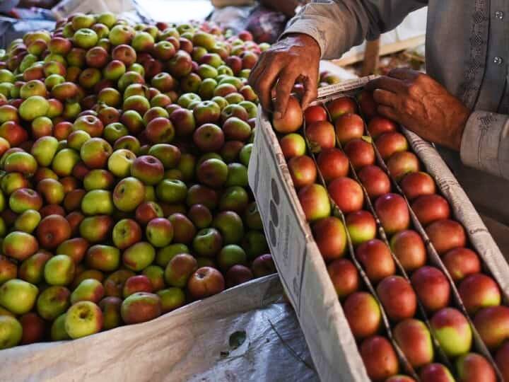 Apple will be sold on per kg basis in Himachal Pradesh Action Against People Not Following Rules wann Himachal Apple: प्रति किलो के हिसाब से ही बिकेगा सेब, नियम न मानने वालों पर होगी कार्रवाई