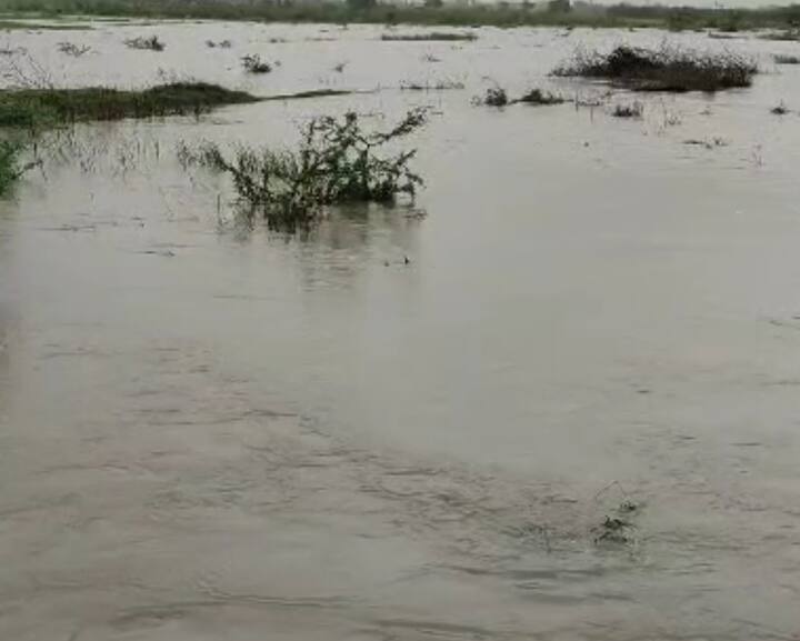 આઝાદ સોસાયટી, શિવજી નગર, બજરંગ સોસાયટી, હાઉસિંગ સોસાયટી સહિતના વિસ્તારમાં ઘૂંટણસમા પાણી ભરાયા હતા. પાણીમાં લોકોની ઘરવખરી પલળી ગઇ હતી.