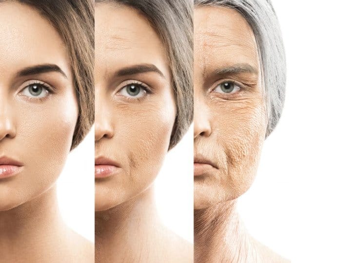 harvard scientist unveil anti ageing drug combination to reverse ageing अब बढ़ती उम्र पर आप कर पाएंगे काबू...वैज्ञानिकों ने ढ़ूंढ निकाली उम्र पर ब्रेक लगाने वाली दवाई!