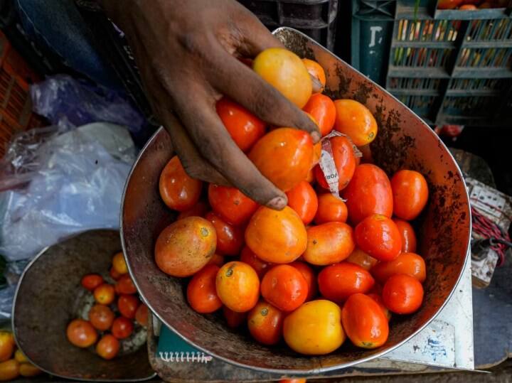 Tomato Rates are reduced in some places and Delhi-NCR, Ghaziabad Noida, Greater Noida location know here Tomato Rate: दिल्ली-NCR, नोएडा और गाजियाबाद में सस्ता मिलने लगा टमाटर, इन जगहों पर खरीद लें जाकर
