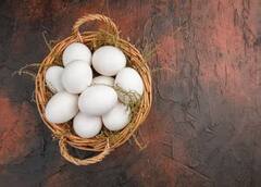 Egg Benefits : रोज एक किंवा दोन अंडी खाल्ल्याने शरीराला मिळतात अनेक फायदे; जाणून घ्या