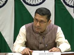 पाकिस्तान से भारत आई सीमा हैदर को लेकर विदेश मंत्रालय ने दिया जवाब, जानें क्या कहा