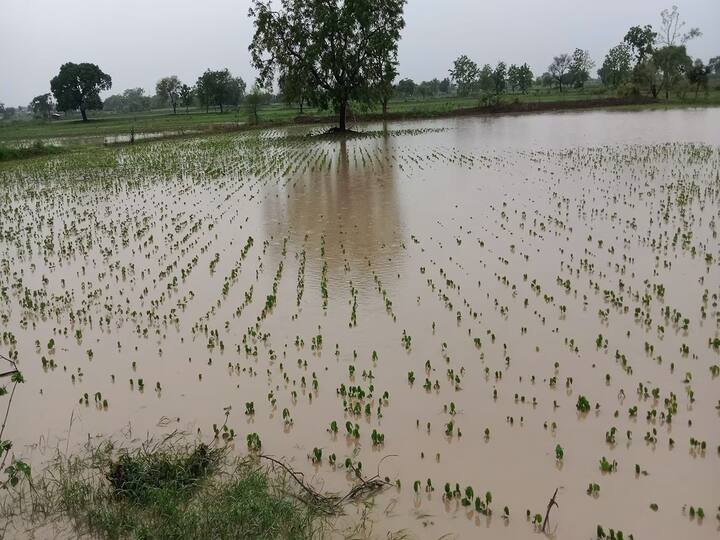 heavy rain falls in rajkot district upleta and Bhayavadar Rain Update: રાજકોટના ઉપલેટામાં ધોધમાર વરસાદ, ભાયાવદરમાં જળબંબાકારની સ્થિતિ
