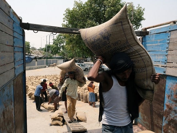 Export Ban : Centre Prohibits Export of Non Basmati White Rice Amid Price Hike Export Ban : ટામેટા વાળી થતા બચવા મોદી સરકાર એક્શનમાં, નિકાસ પર તત્કાળ પ્રતિબંધ