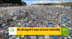 समंदर को संवारने की कोशिश में जुटा बीच प्लीज